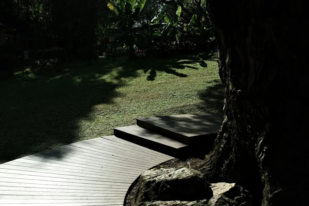 Curved ground-level deck with two low steps leading down to a shaded lawn