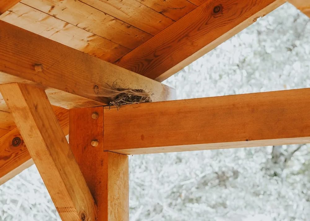 Wooden roof beams and rafters of a covered deck